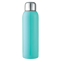 Guzzle Stainless Steel Bottle (28 oz)